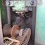 HYDRAULIC COLD BILLET SHEAR